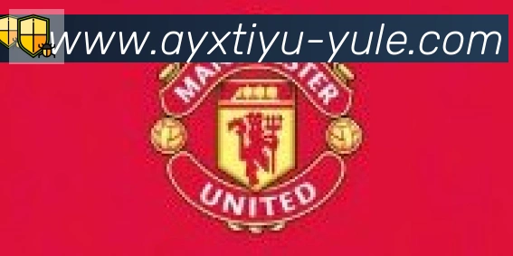 爱游戏合作伙伴